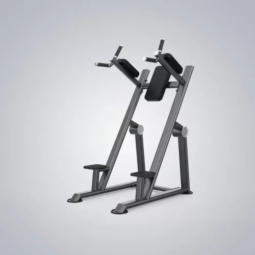 DHZ Fitness | Strength Equipment, EVOST III Strength, U2047, Vertical Knees Up-Dip