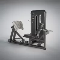 Leg Press – DHZ GIGAFACTORY DISTRIBUTION