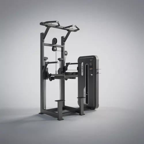 DHZ Fitness | Strength Equipment, EVOST II Strength, A3009, DipChin Assist