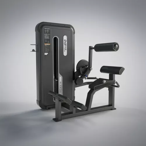 DHZ Fitness | Strength Equipment, EVOST II Strength, A3031, Back Extension