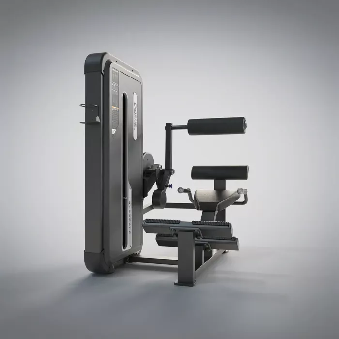 DHZ Fitness | Strength Equipment, EVOST II Strength, A3031, Back Extension