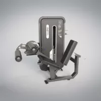 Leg Extension & Leg Curl - DHZ GIGAFACTORY DISTRIBUTION