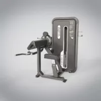 Camber Curl & Triceps - DHZ GIGAFACTORY DISTRIBUTION