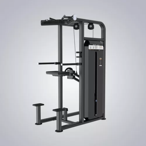 DHZ Fitness | Strength Equipment, EVOST III Strength, U2009, DipChin Assist
