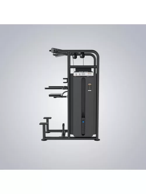 DHZ Fitness | Strength Equipment, EVOST III Strength, U2009, DipChin Assist