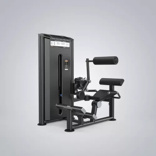 DHZ Fitness | Strength Equipment, EVOST III Strength, U2031, Back Extension