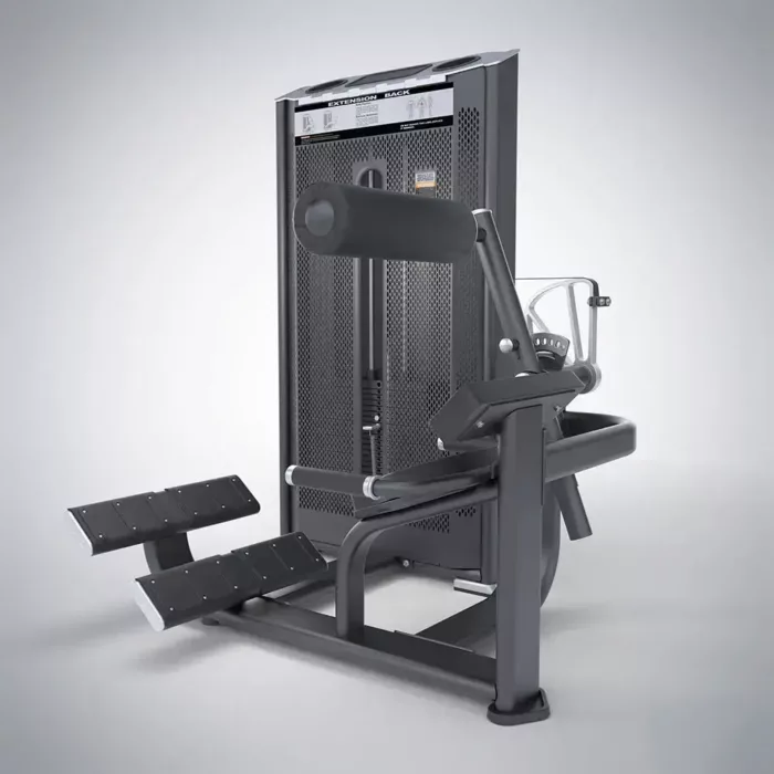 DHZ Fitness | Strength Equipment, PRESTIGE PRO Strength, E7031A, Back Extension