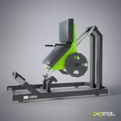 DHZ Fitness | Plate Loaded, Y900, Y945, CALF